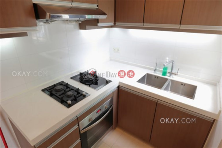 Luxurious penthouse with rooftop & parking | Rental